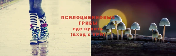 стаф Покровск