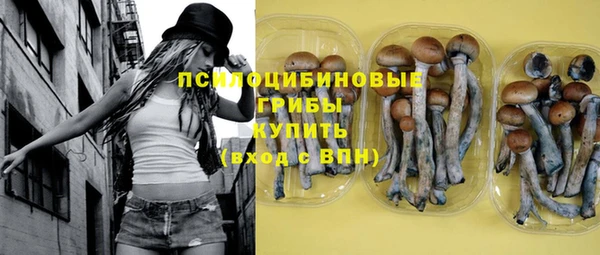стаф Покровск