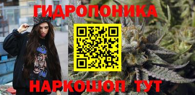 шишки Абакан