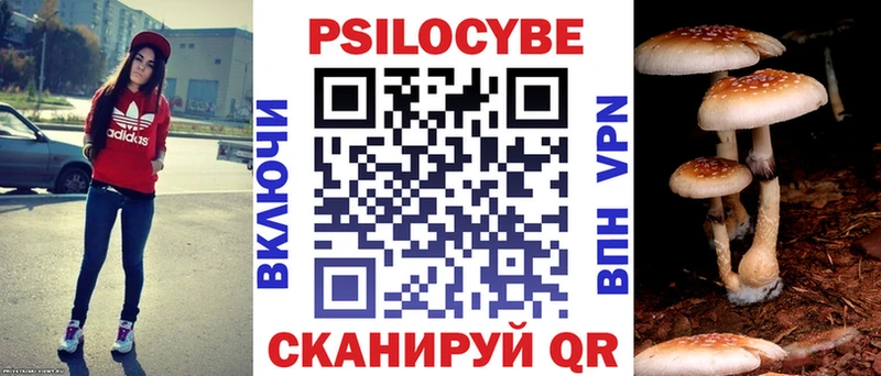 Галлюциногенные грибы GOLDEN TEACHER  kraken как зайти  Альметьевск 
