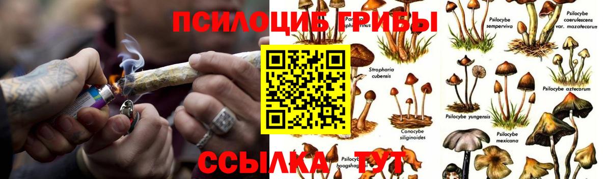 Псилоцибиновые грибы Magic Shrooms Альметьевск